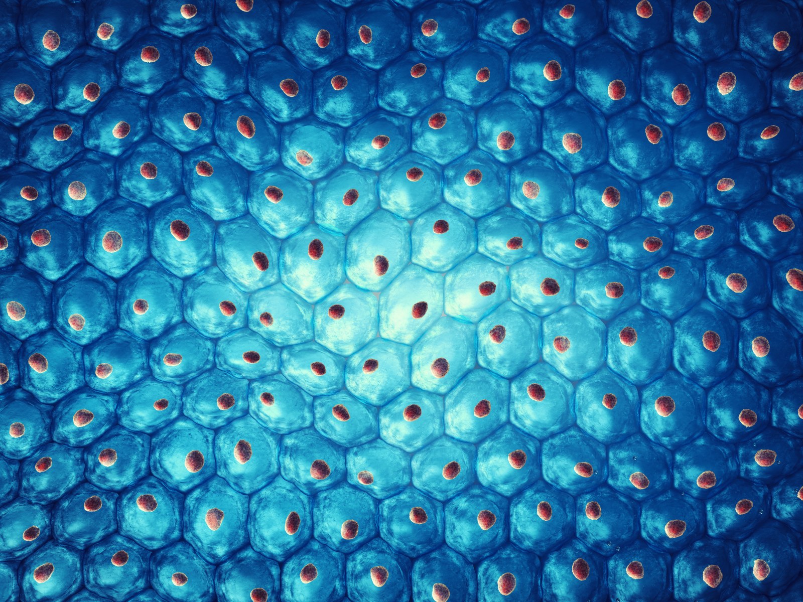 Many cells with cell nucleus on blue background