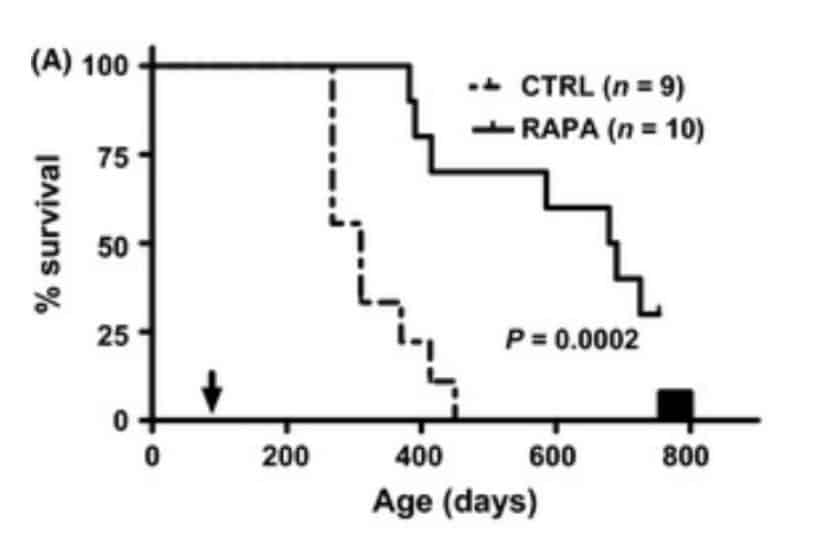 rapamycin improves survival of immunosuppressed mice graph