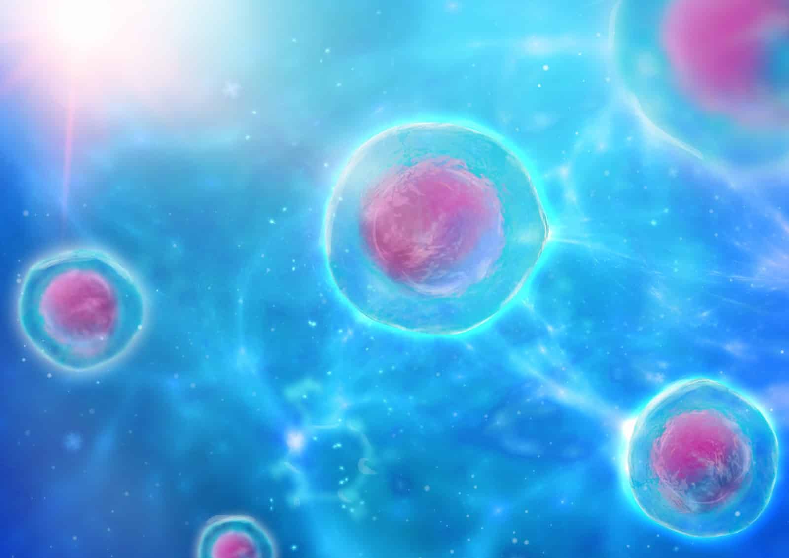 pinkish blue stem cells on blue background