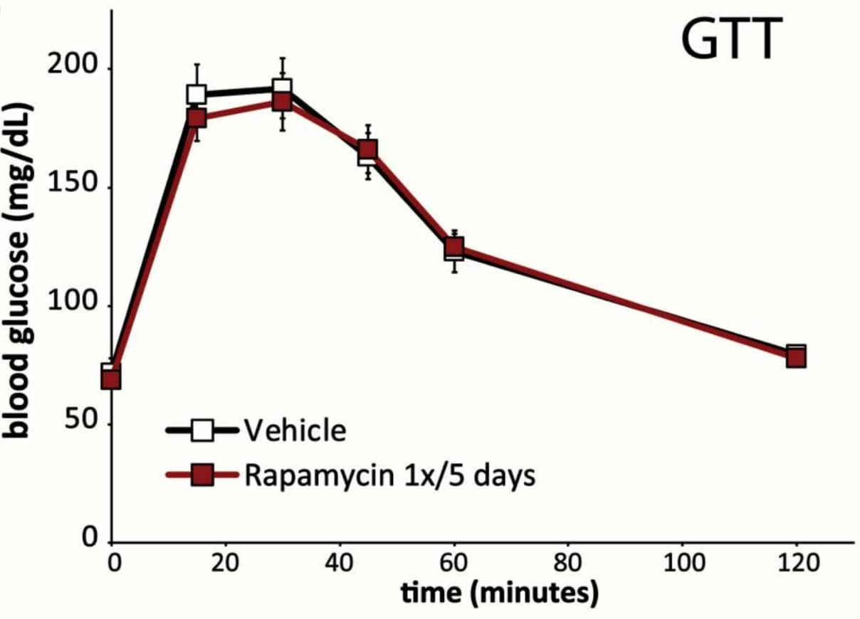 graph showing that rapamycin (sirolimus) does not increase blood glucose levels
