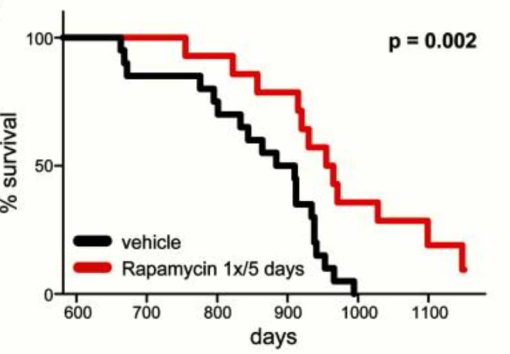 graph showing that rapamycin (sirolimus) increases survival in mice