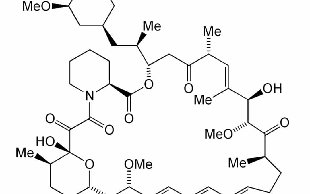 How Does Rapamycin Work? Overview of Rapamycin Lifespan Extension Studies