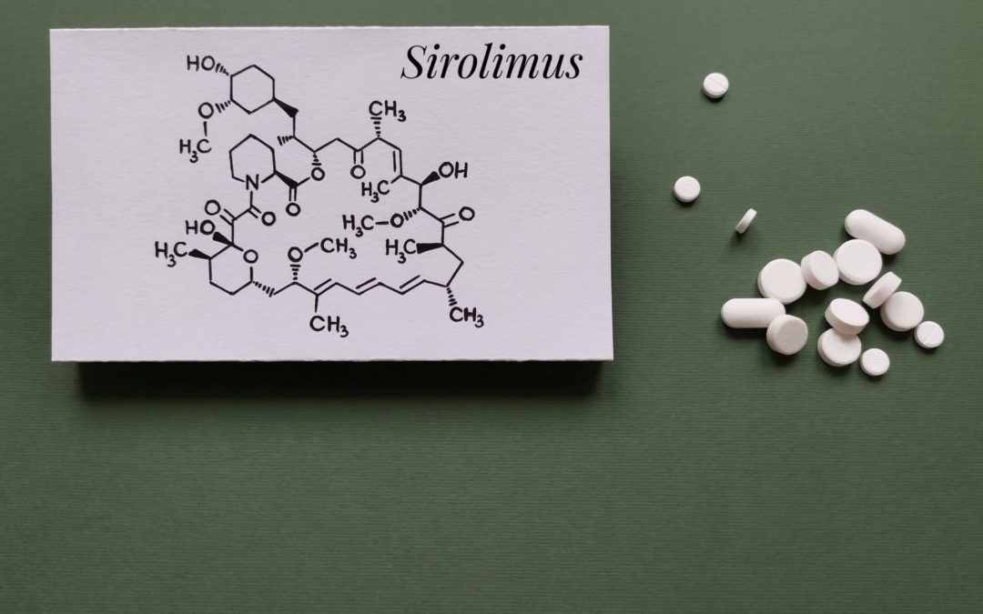 How Does Rapamycin Work? How Can It Slow Aging And Extend Lifespan?