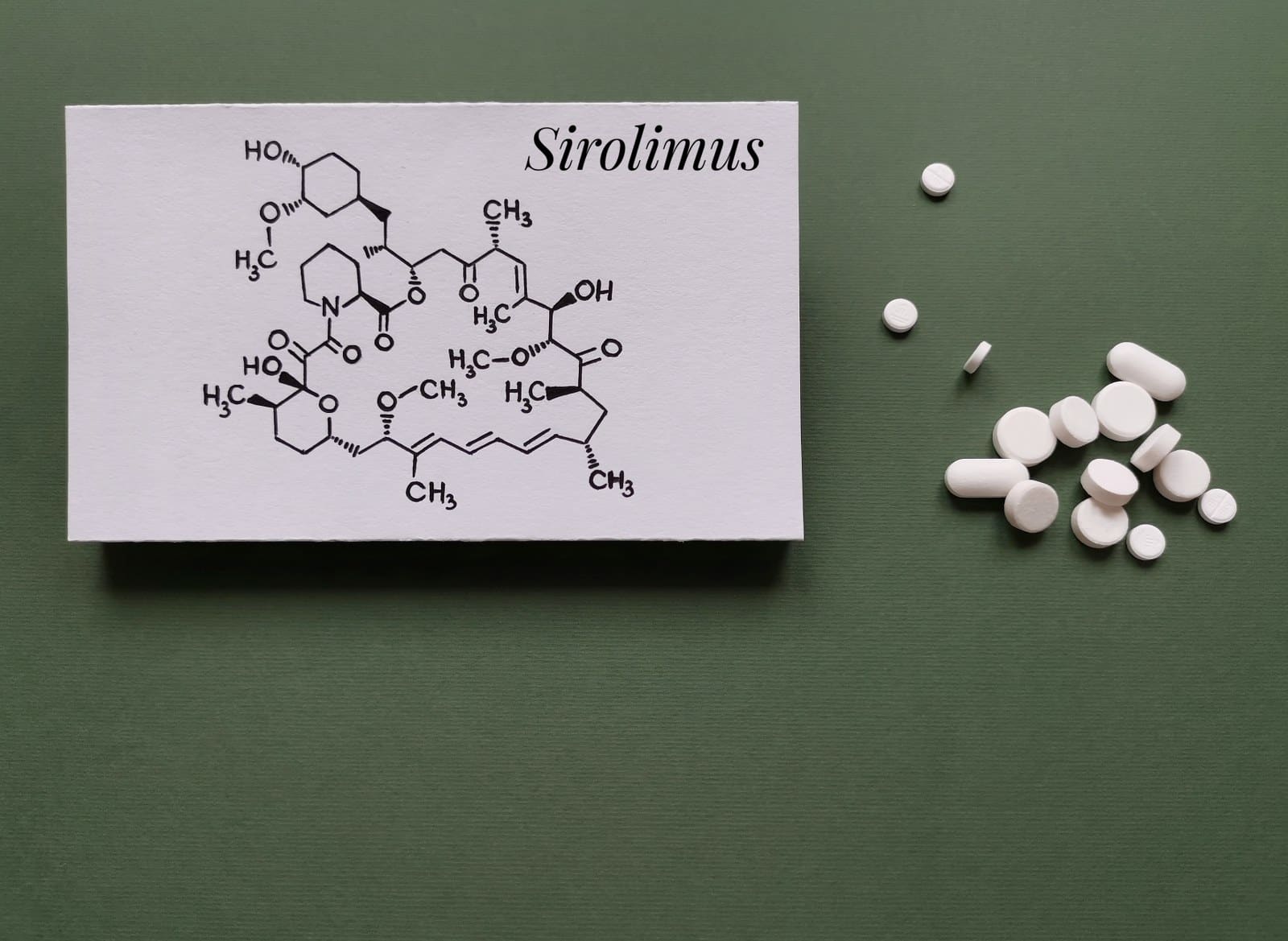 rapamycin pills for longevity and life extension